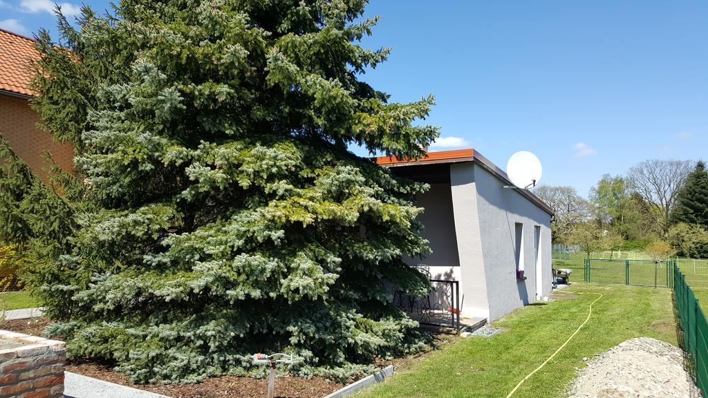 Fewo Schuetz Langewahl Exterior photo